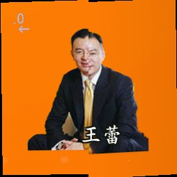 王蕾